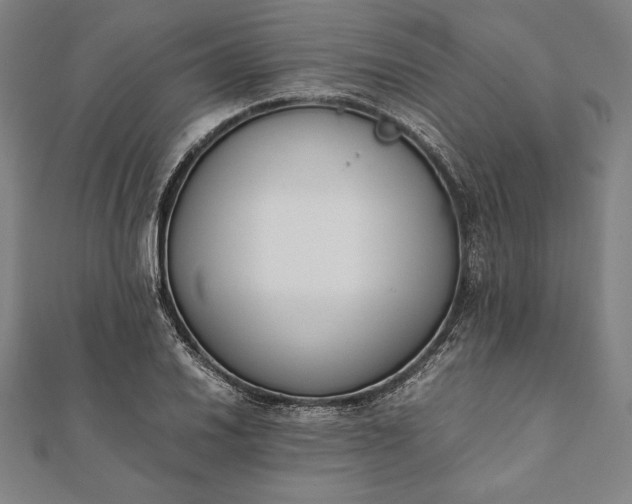 X0000112051030200908181132