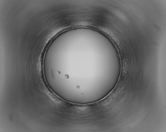 X0000112051031200908181132