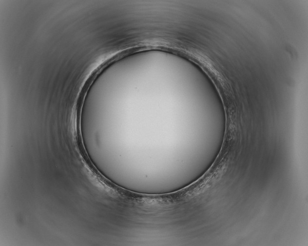 X0000112051032200908181132