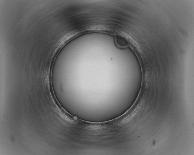 X0000112051033200908181132