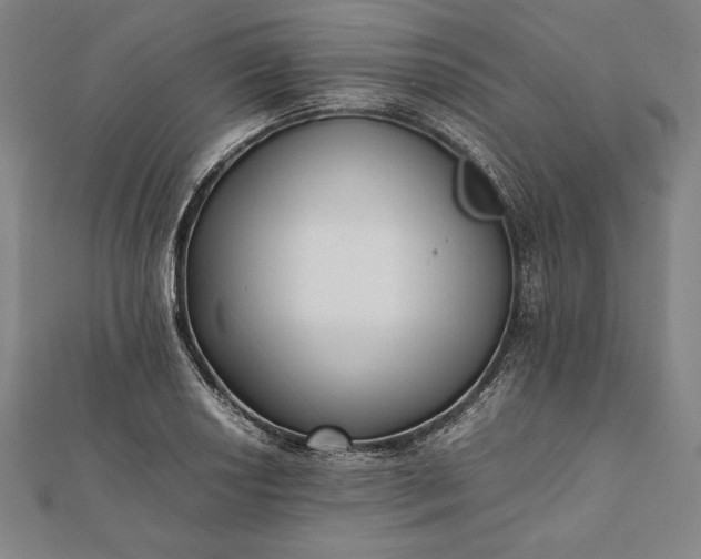 X0000112051034200908181132