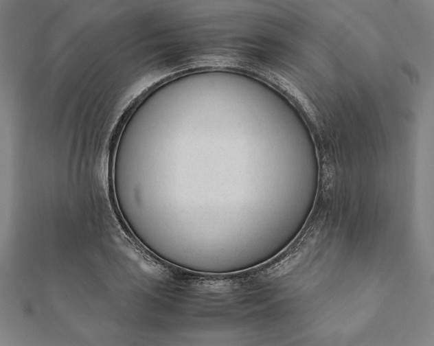 X0000112051035200908181132