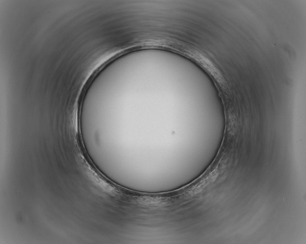 X0000112051036200908181132