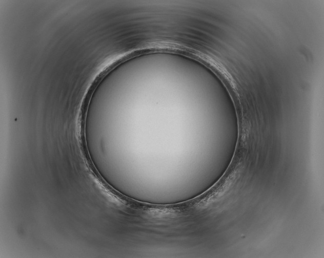 X0000112051037200908181132