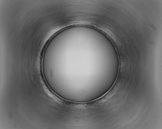 X0000112051038200908181132