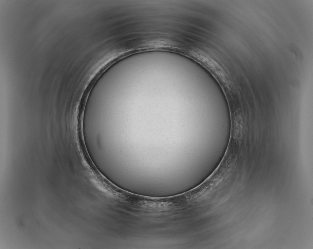 X0000112051039200908181132