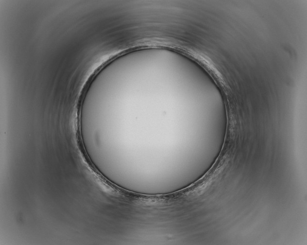 X0000112051040200908181132