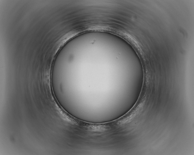 X0000112051041200908181132