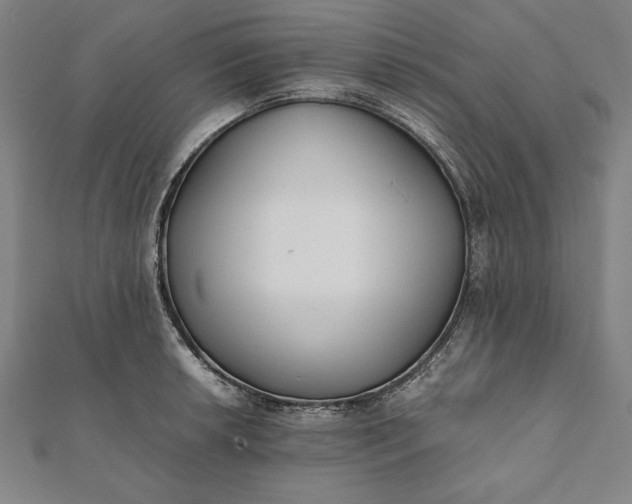 X0000112051042200908181132