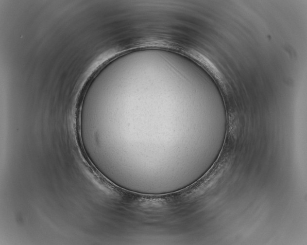 X0000112051043200908181132