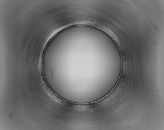 X0000112051044200908181132