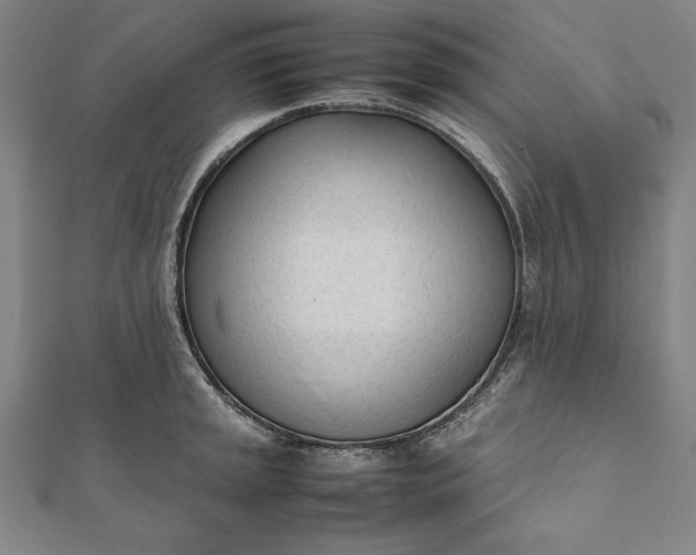 X0000112051045200908181132