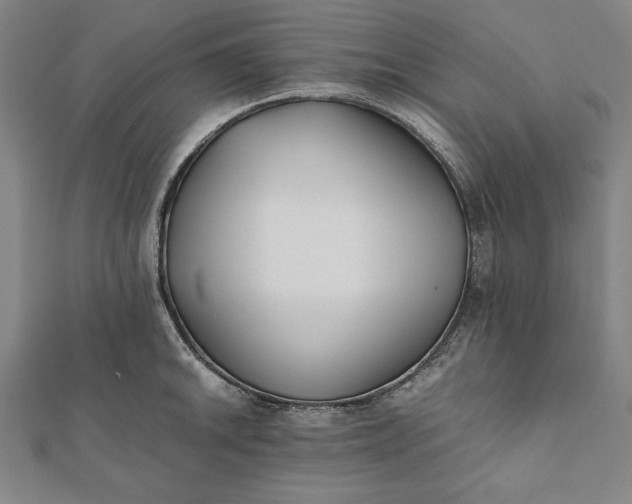 X0000112051046200908181132