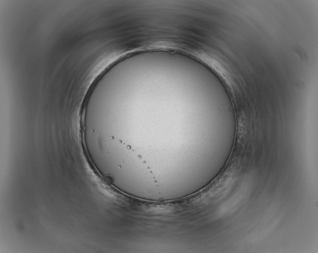 X0000112051047200908181132