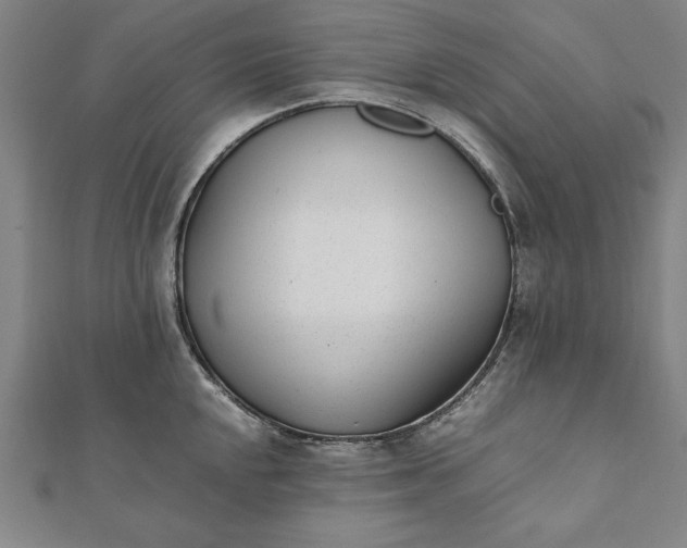 X0000112051048200908181132