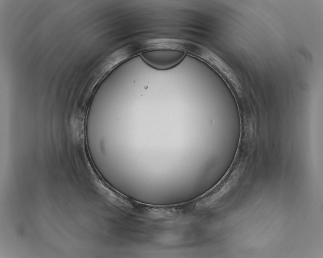 X0000112051049200908181132