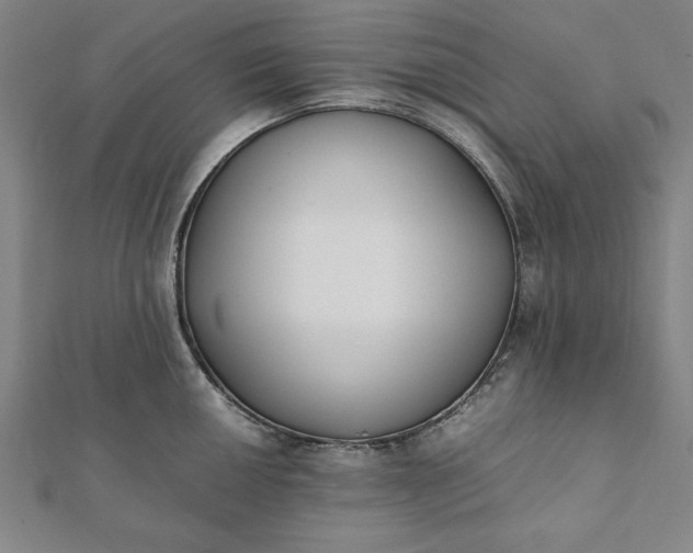 X0000112051050200908181132