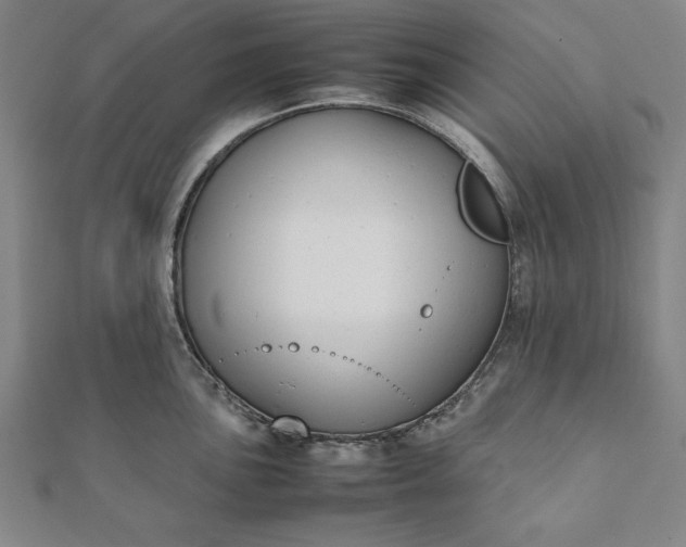 X0000112051051200908181132