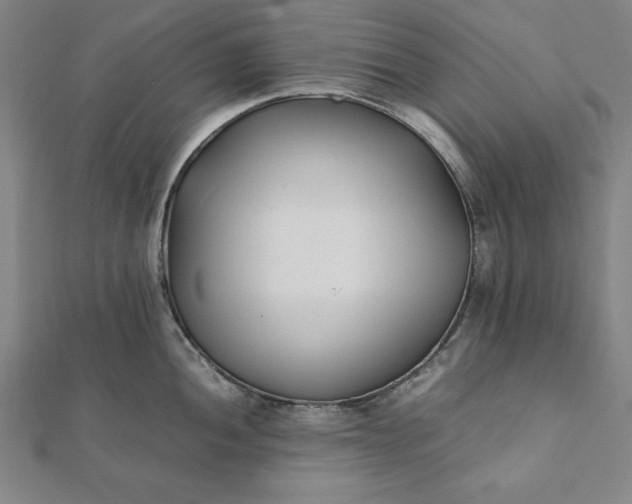 X0000112051052200908181132