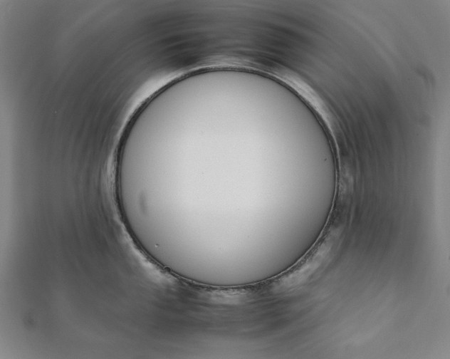 X0000112051053200908181132