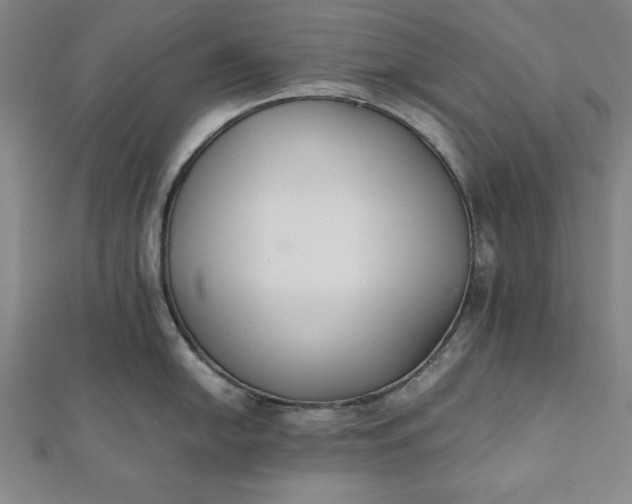 X0000112051054200908181132