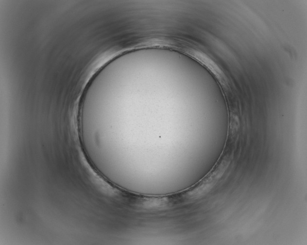 X0000112051055200908181132