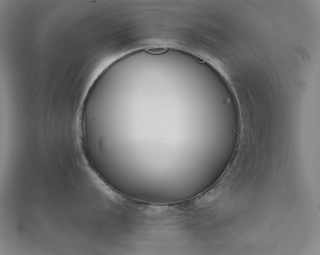 X0000112051056200908181132