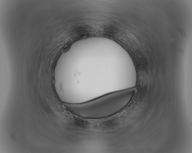 X0000112051057200908181132