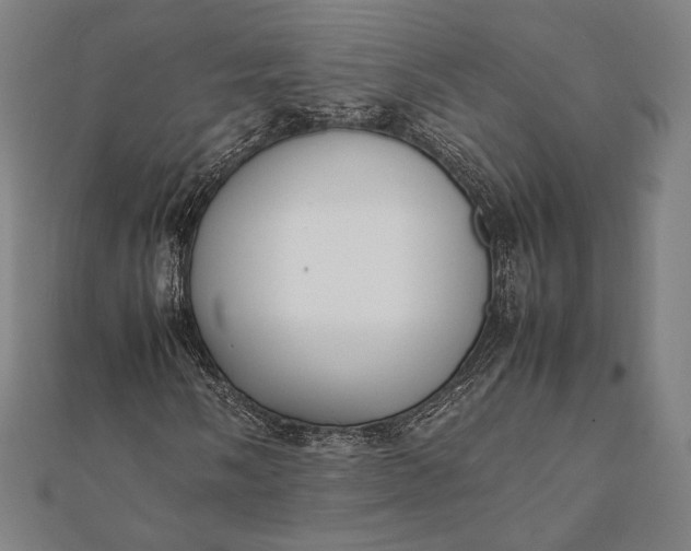 X0000112051058200908181132