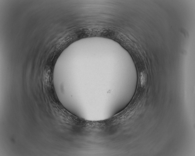 X0000112051059200908181132