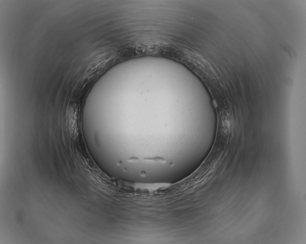 X0000112051060200908181132