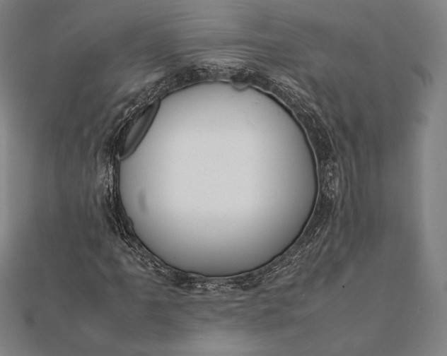 X0000112051061200908181132