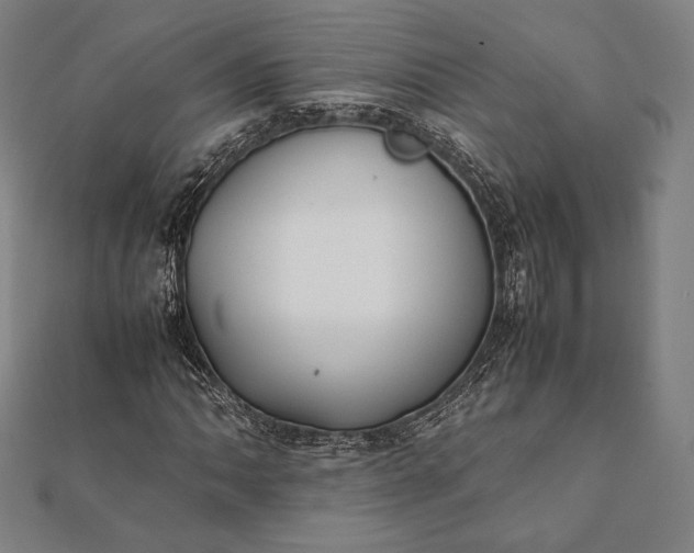 X0000112051062200908181132