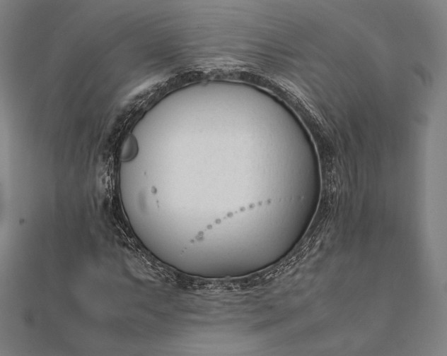 X0000112051063200908181132