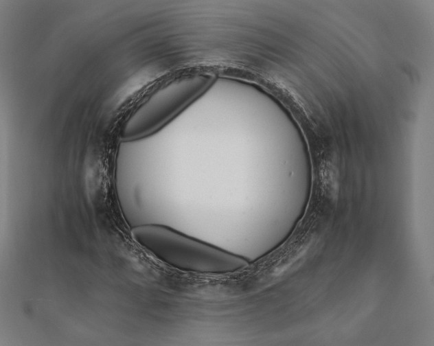 X0000112051064200908181132