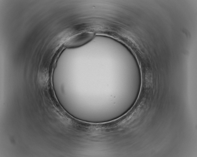 X0000112051065200908181132