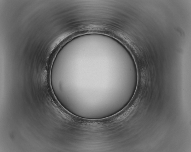 X0000112051066200908181132