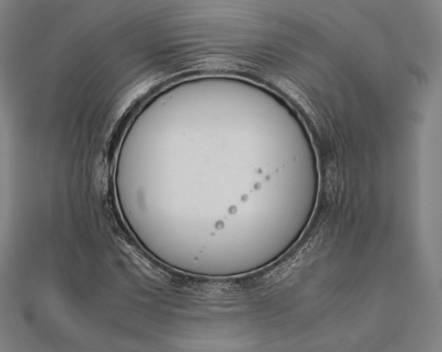 X0000112051067200908181132