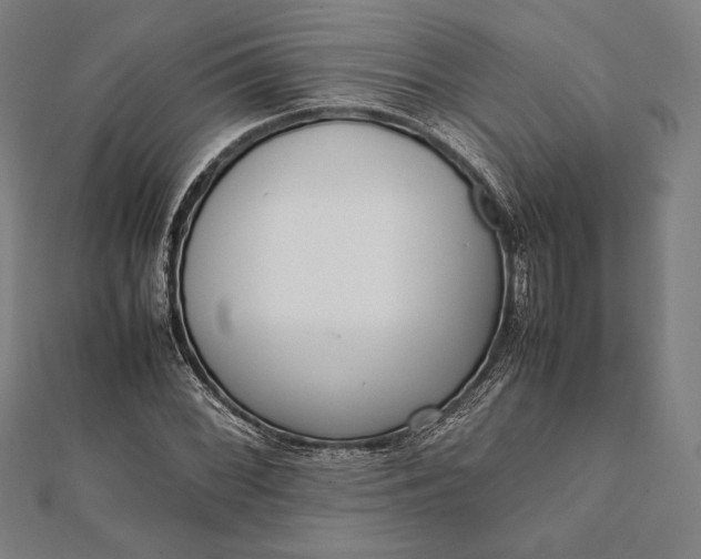 X0000112051068200908181132