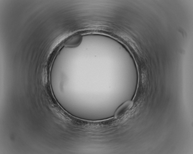 X0000112051069200908181132