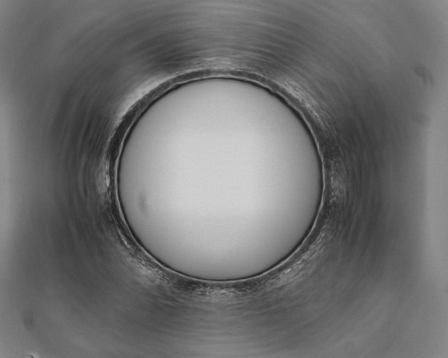 X0000112051070200908181132