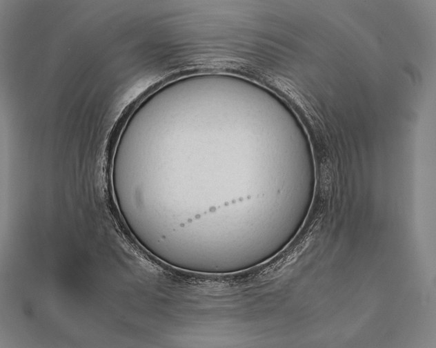 X0000112051071200908181132