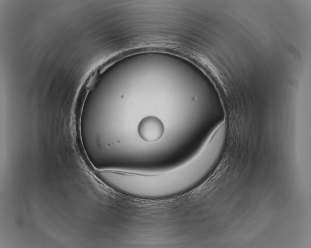 X0000112051072200908181132