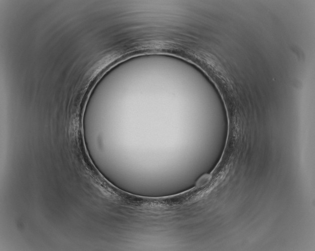 X0000112051073200908181132