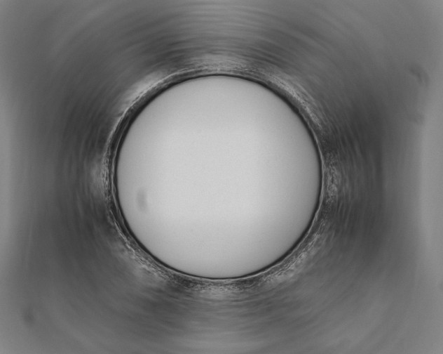 X0000112051074200908181132