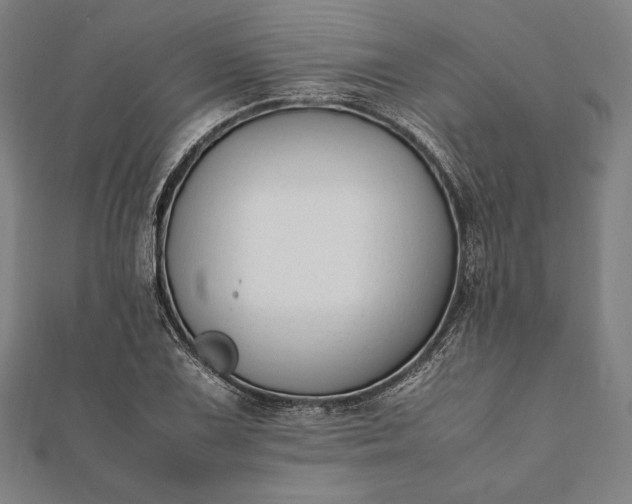 X0000112051075200908181132