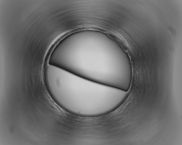 X0000112051076200908181132