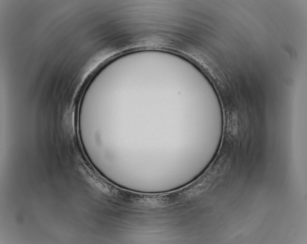 X0000112051078200908181132