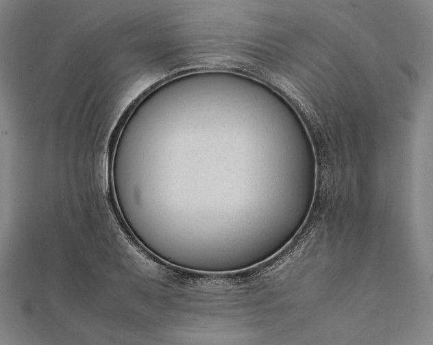 X0000112051079200908181132