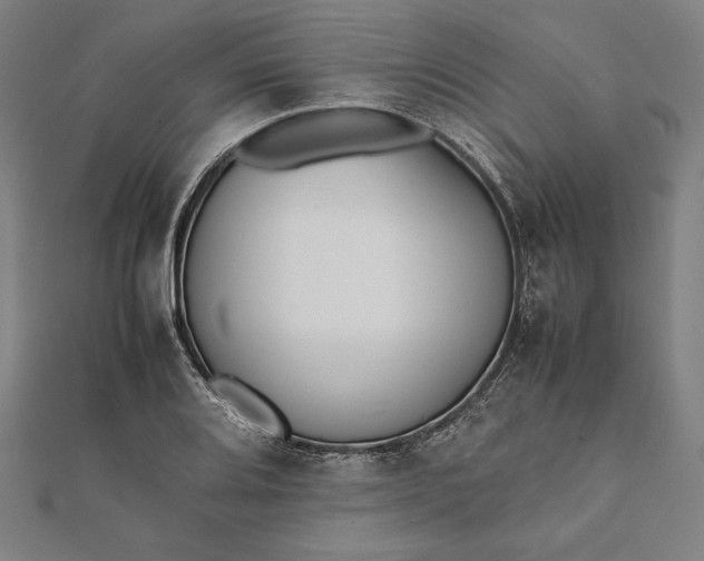 X0000112051080200908181132